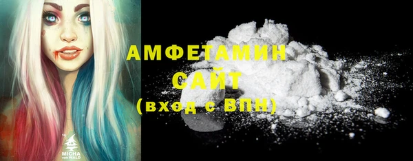 шишки Дмитровск