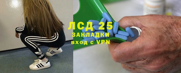 шишки Дмитровск