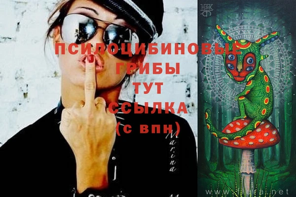 мяу мяу мука Михайлов