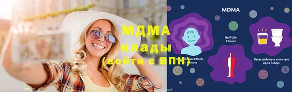 шишки Дмитровск