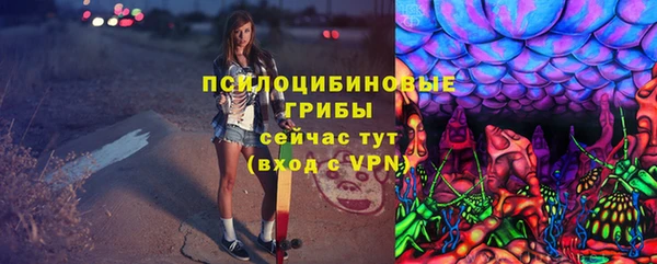 шишки Дмитровск