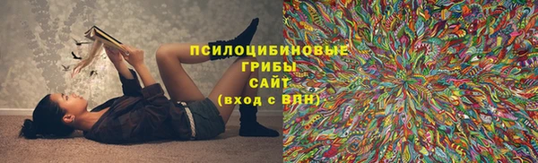 МДПВ Дмитров