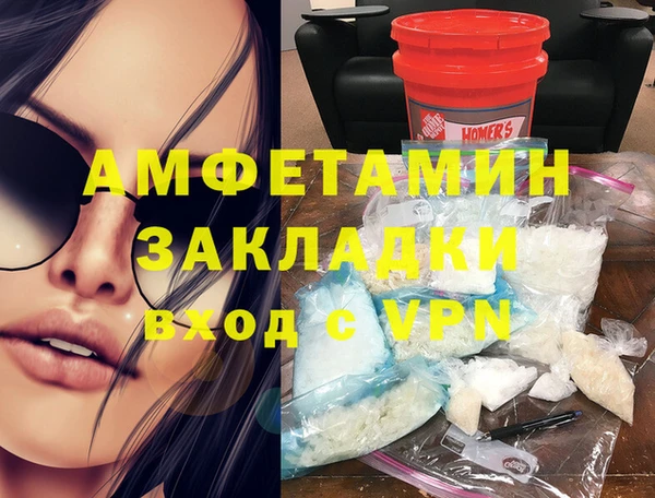 шишки Дмитровск