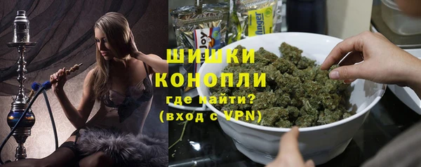 шишки Дмитровск