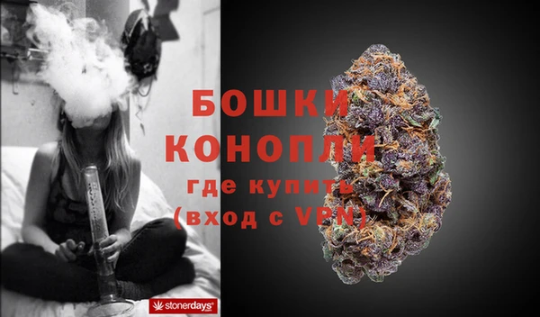 МДПВ Дмитров
