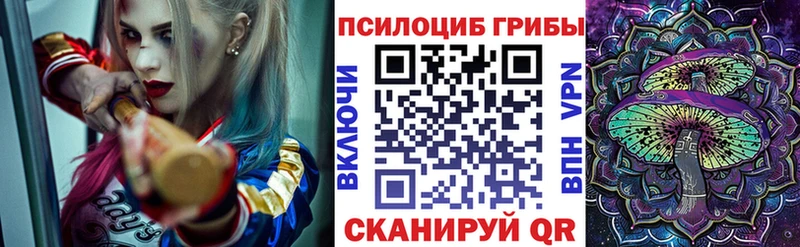 где продают ОМГ ОМГ ССЫЛКА Псилоцибиновые грибы мицелий Обоянь